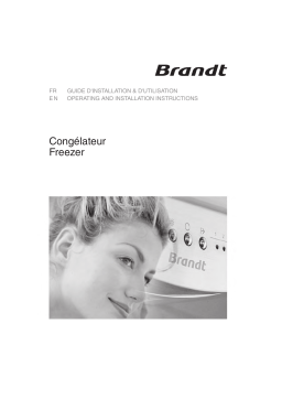 Brandt UD2321 Manuel utilisateur