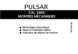 Pulsar Z46G Manuel utilisateur