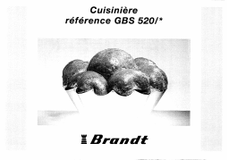 Brandt GBS520 Manuel utilisateur