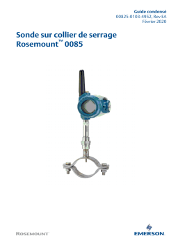 Rosemount 0085 Sonde sur collier de serrage Manuel utilisateur