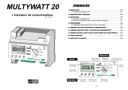 DELTA DORE MULTYWATT 20 Manuel utilisateur