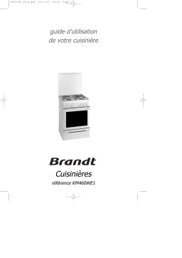 Brandt KM460WE1 Manuel utilisateur