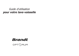 Brandt AX339CA Manuel utilisateur