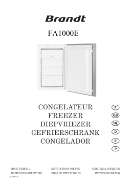 Brandt FA1000E Manuel utilisateur