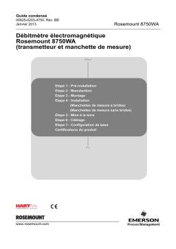 Rosemount 8750WA Débitmètre électromagnétique (transmetteur et manchette de mesure) Manuel utilisateur