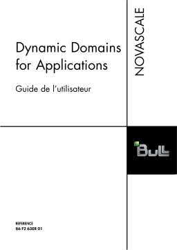 Bull Dynamic Domain for application Manuel utilisateur