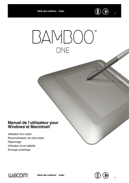 Wacom Bamboo One Manuel utilisateur