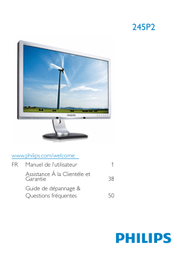 Philips 245P2ES Manuel utilisateur