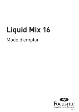 Focusrite Liquid Mix 16 Manuel utilisateur