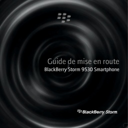 Blackberry Storm 9530 Manuel utilisateur