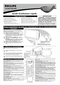 Philips 30PW6341 Manuel utilisateur