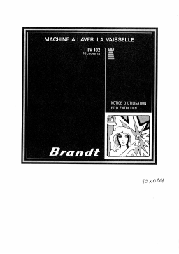 Brandt LV102D Manuel utilisateur