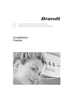 Brandt UD2322 Manuel utilisateur