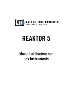 Native Instruments Reaktor 5 Manuel utilisateur