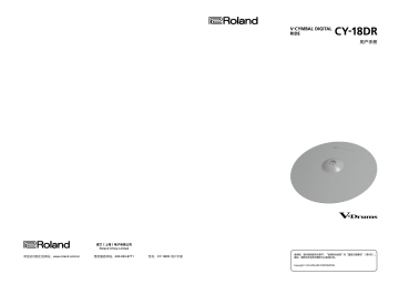 Roland CY-18DR V-Cymbal 叮叮镲 Manuel du propriétaire | Fixfr