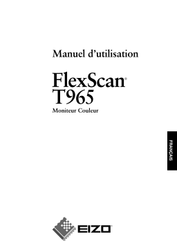 Eizo FLEXSCAN T965 Manuel utilisateur