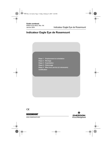 Mode d'emploi | Rosemount Indicateur Eagle Eye Manuel utilisateur | Fixfr