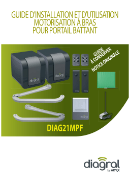 Diagral DIAGRAL DIAG21 Manuel utilisateur