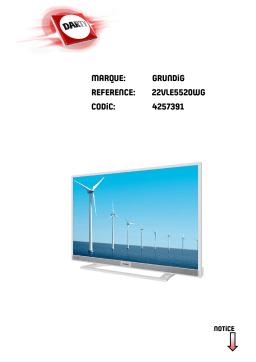 Grundig 22 VLE 5520 WG22VLE5520WG Manuel utilisateur