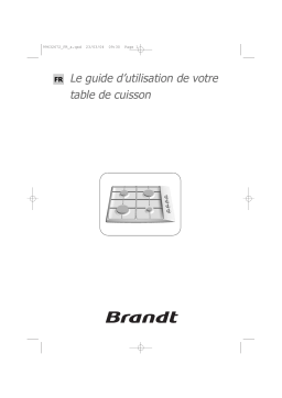 Brandt TE212XB1 Manuel utilisateur