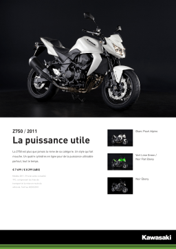 Kawasaki Z750 Brochure + Chat IA & Téléchargement PDF