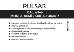 Pulsar P5A001X1 Manuel utilisateur