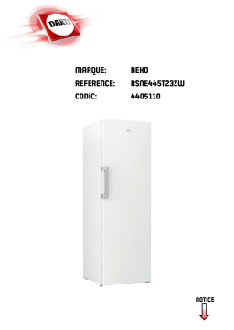 Beko RSNE445T23ZW Manuel utilisateur