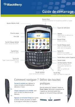 Blackberry 8703e Manuel utilisateur