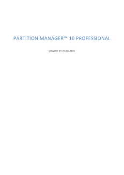 Paragon Software Partition Manager 10 professional Manuel utilisateur