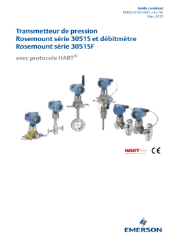 Rosemount 3051S Transmetteur de pression et 3051SF débitmètre avec protocole HART Manuel utilisateur