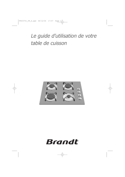 Brandt TG532BS1 Manuel utilisateur