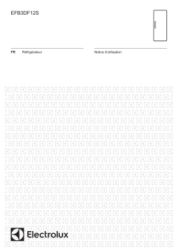 Electrolux EFB3DF12S Manuel utilisateur