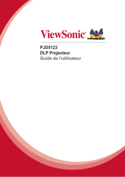 ViewSonic PJD5123 Manuel utilisateur