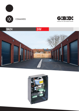 Gibidi BA24 | Chat IA et Téléchargement PDF