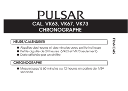 Pulsar VK67 Manuel utilisateur