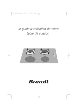 Brandt TI213BF1 Manuel utilisateur