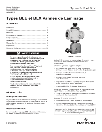 Une information important | Fisher BLE-BLX Vanne de Laminage Manuel utilisateur | Fixfr