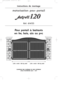 Avidsen 614123 Manuel utilisateur