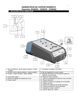 Rowenta DG 9040 EXPERTISE Manuel utilisateur