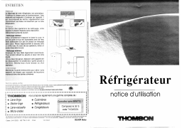 Thomson SFV317 Manuel utilisateur