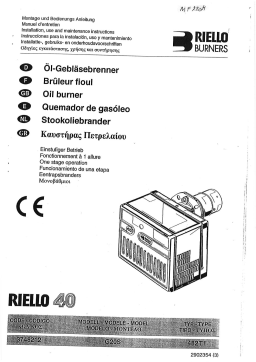 Riello G20S Manuel utilisateur