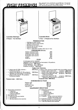 Brandt 503E60 Manuel utilisateur