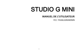 Blu Studio G Mini Manuel du propriétaire
