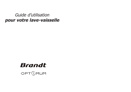Brandt A310C Manuel utilisateur
