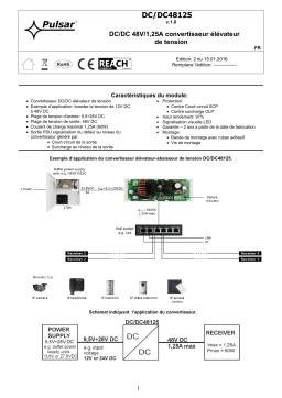 Pulsar DC/DC48125 Manuel utilisateur