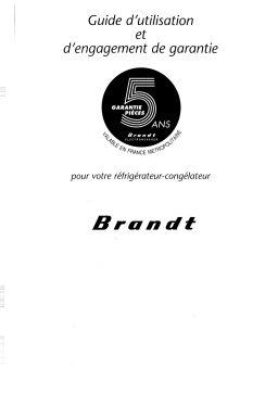 Brandt RD4300 Manuel utilisateur