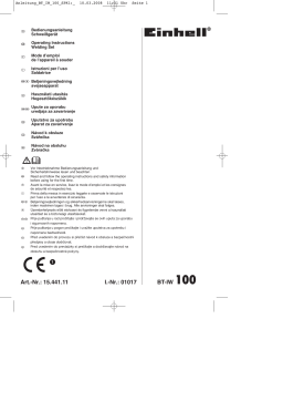 EINHELL BT-IW 100 Manuel utilisateur