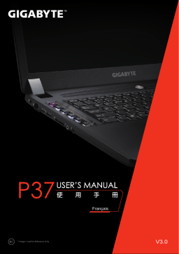 Gigabyte P37X V4 Manuel utilisateur