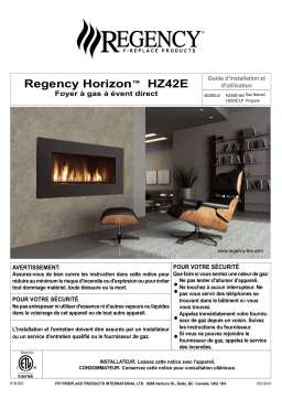 Regency Fireplace Products Horizon HZ42E Gas Fireplace Manuel utilisateur