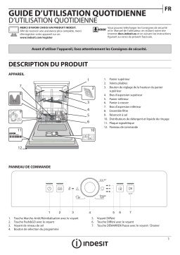 Indesit DFE 1B19 13 Manuel utilisateur